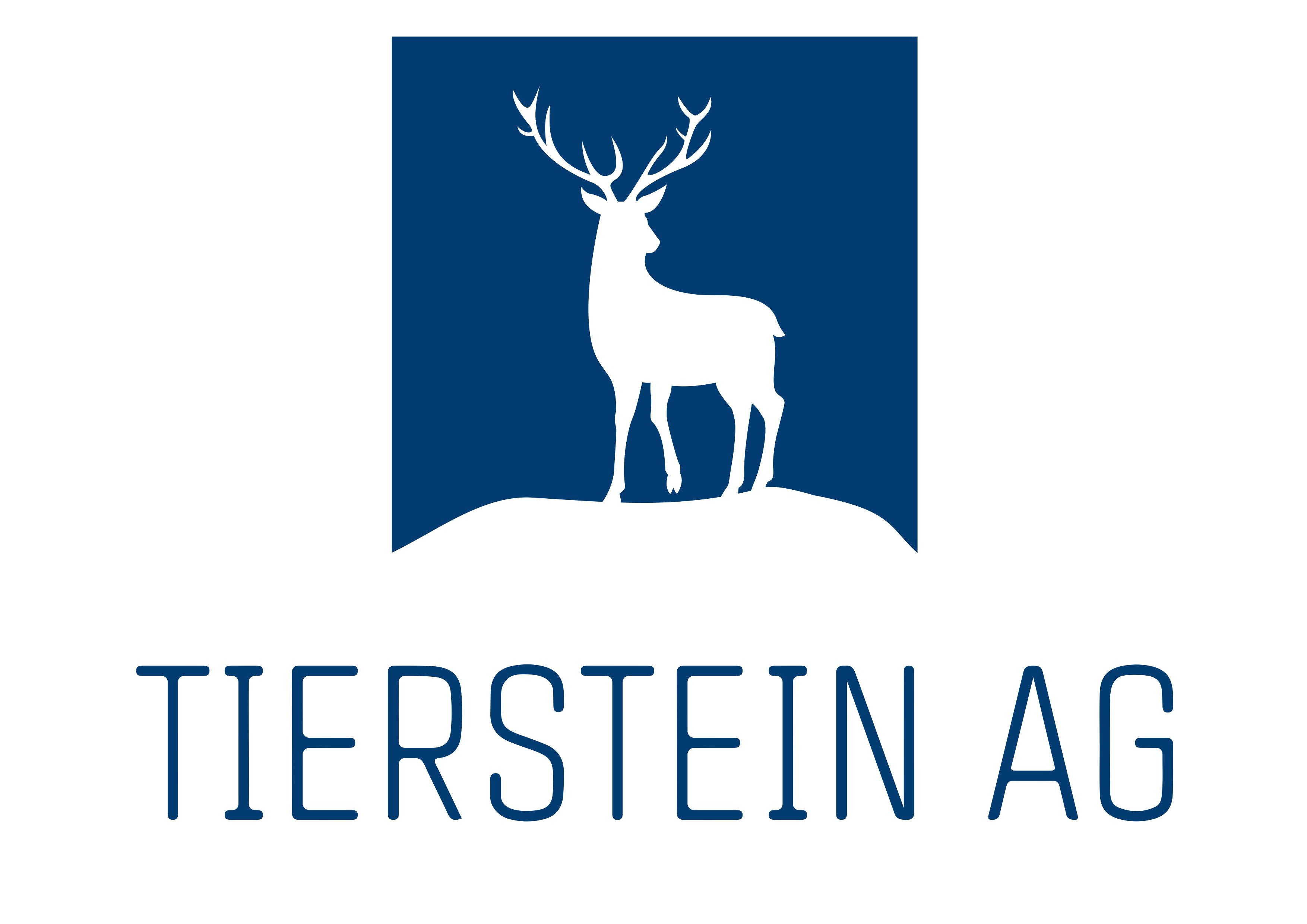 221114 Tierstein AG Logo